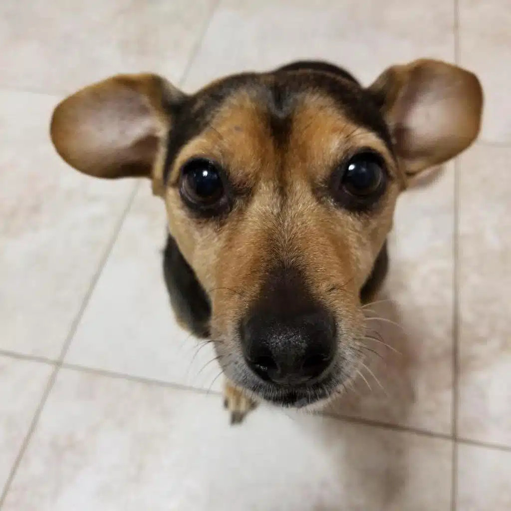 sunday jamski (guitbox and drums)