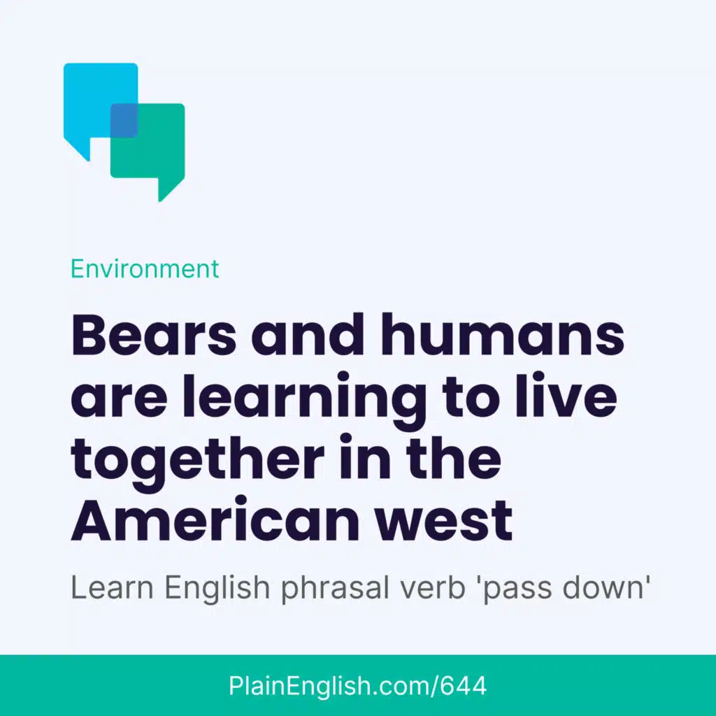 Meet the new neighbor: he's a grizzly bear (Pass down)