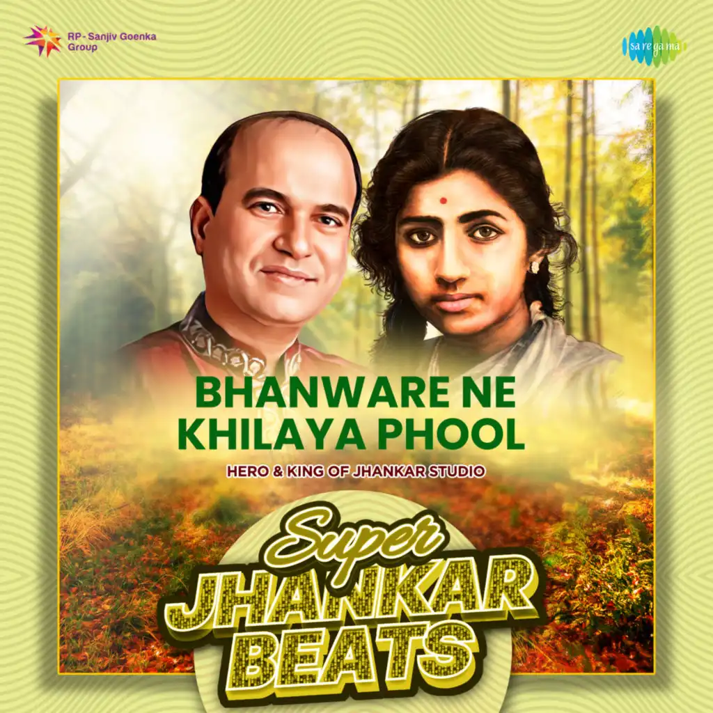 Bhanware Ne Khilaya Phool (Super Jhankar Beats) [feat. Hero & King Of Jhankar Studio]