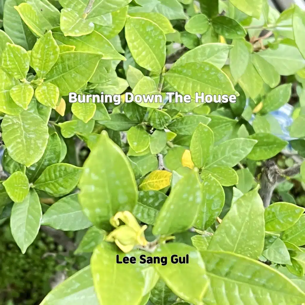 Burning Down The House