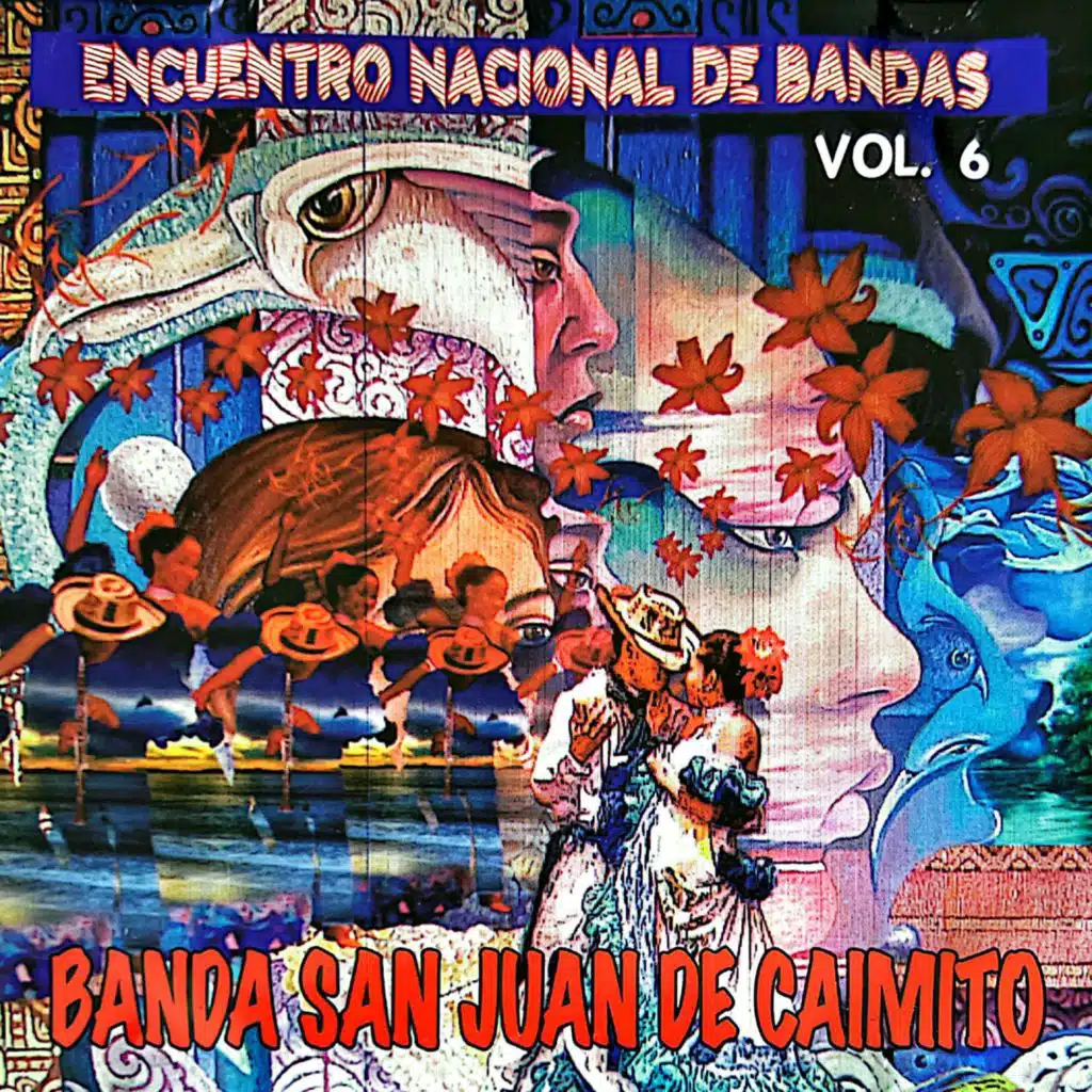 Encuentro Nacional de Bandas, Vol. 6