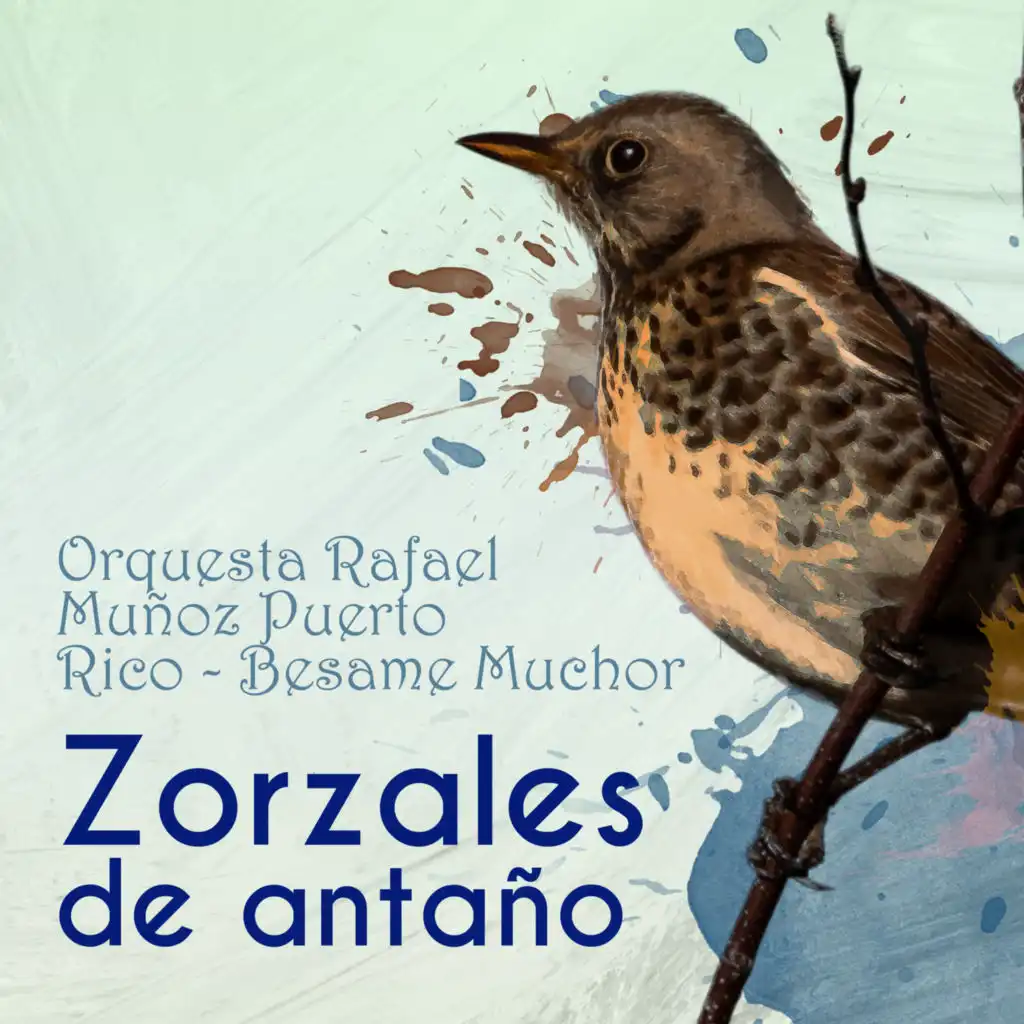 Orquesta Rafael Muñoz & José Luis Monero