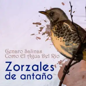 Genaro Salinas