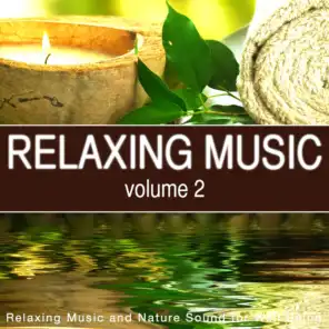 Relaxing Music, Vol. 2 (Relaxing Music and Nature Sounds for Well Being)