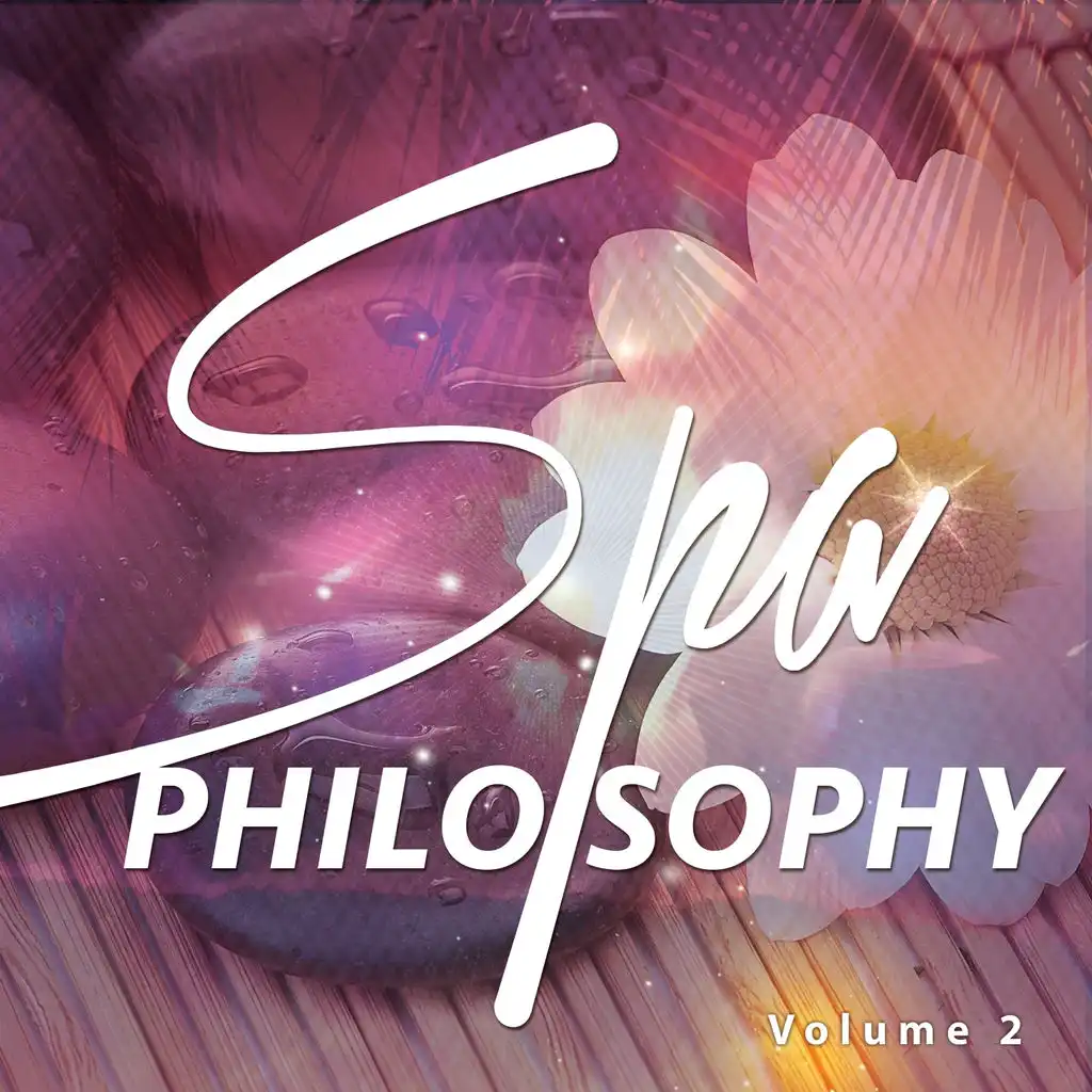 Spa Philosophy, Vol. 2 (Best Of Spa Relaxation & Wellness Music 2016)