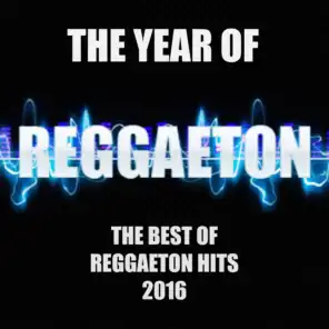 The Year Of Reggaeton (The Best Of Reggaeton Hits 2016)