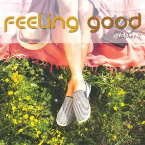 Feeling Good, Vol. 3 (Positive Chill Grooves)