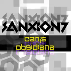 Sanxion7