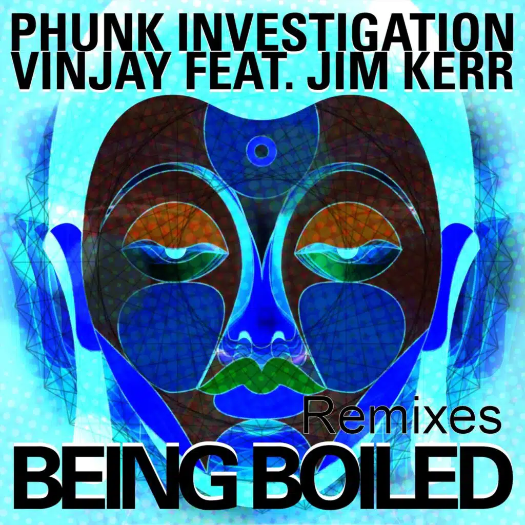 Phunk Investigation, Vinjay