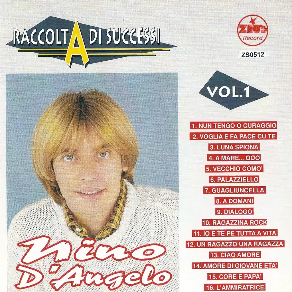 Raccolta di successi, vol. 1 (The Best of Nino D'Angelo Collection)