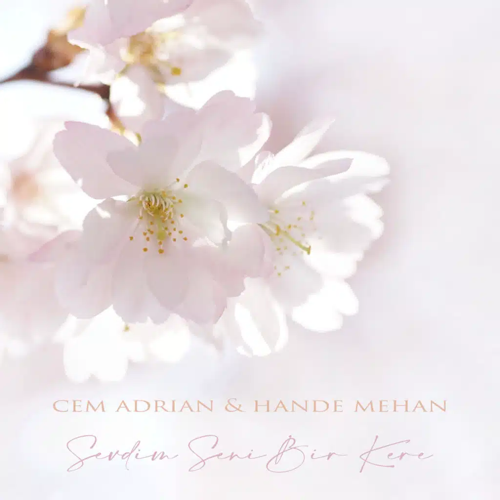 Cem Adrian & Hande Mehan