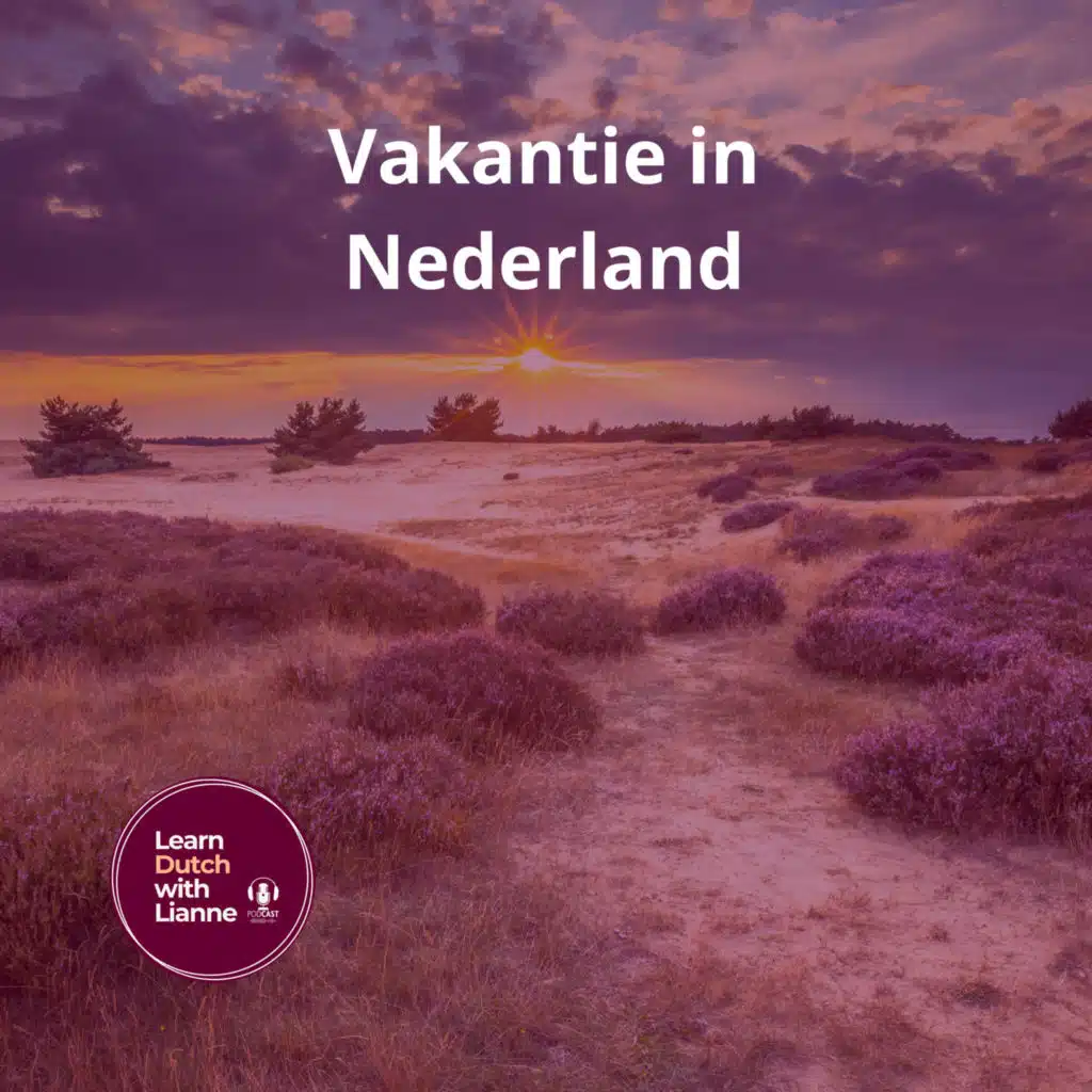 Afl. 14 - Vakantie in Nederland