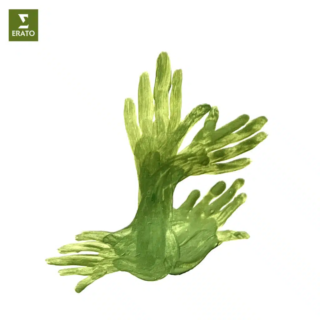 Ma mère l'Oye, M. 60: V. Le jardin féérique