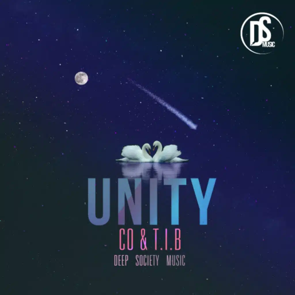 Unity (Neil Gain Remix)