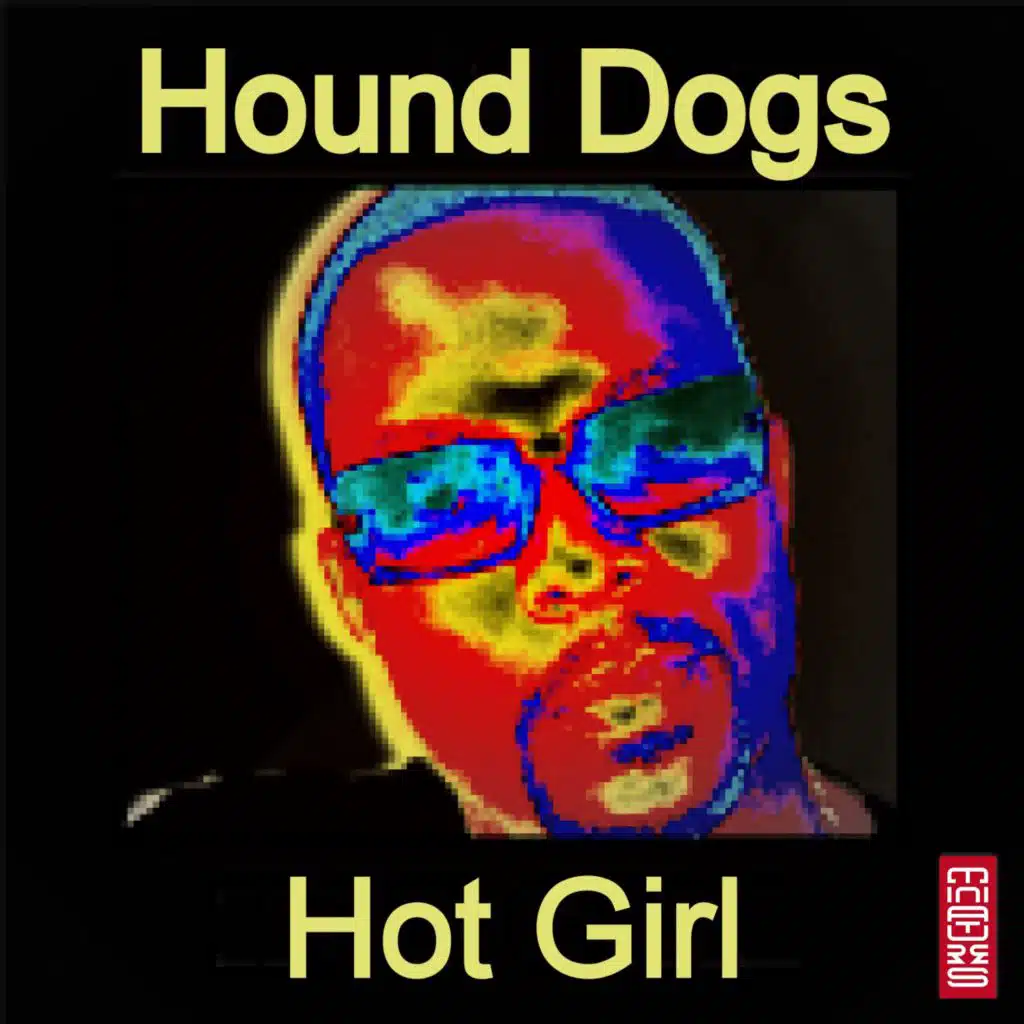 Hot Girl (Houseswingers Remix)