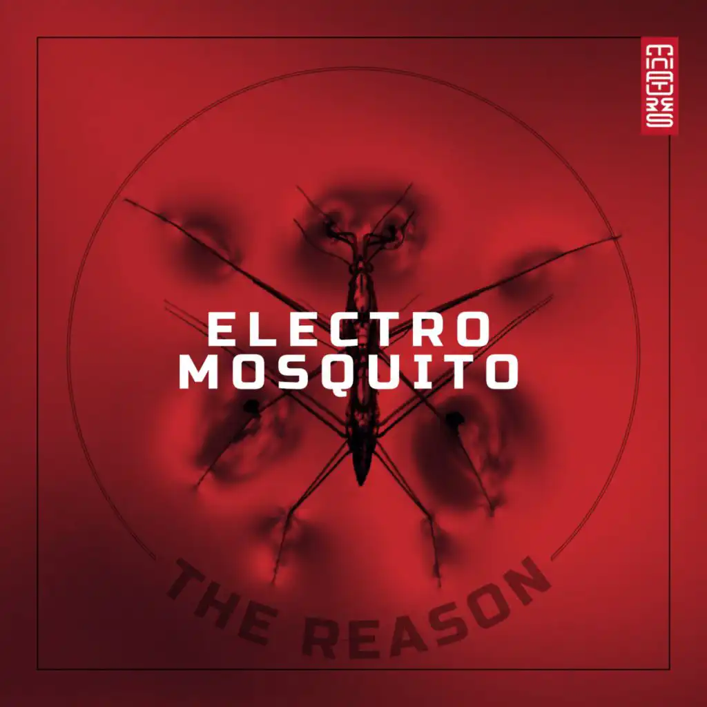 The Reason (Bruno Motta Radio Remix)