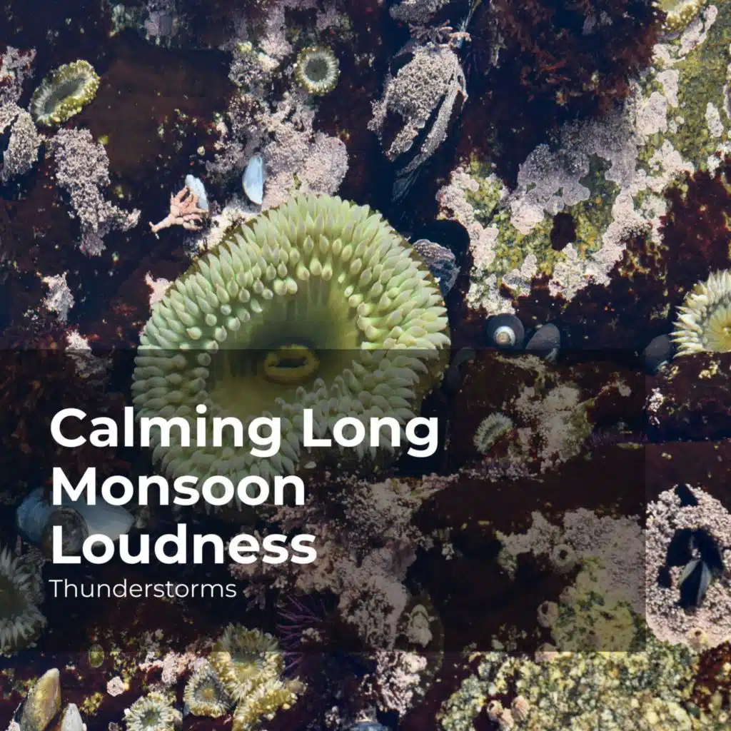 Calming Long Monsoon Loudness