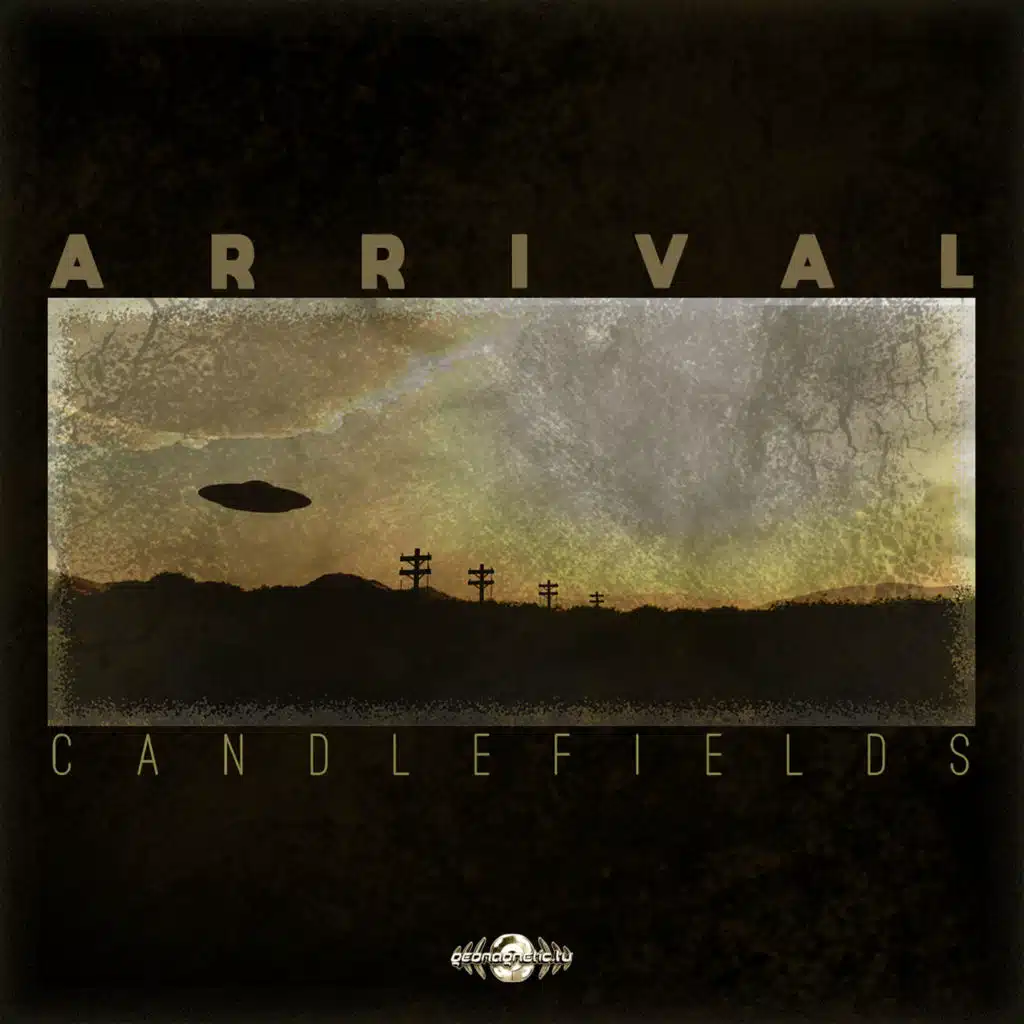 Candlefields
