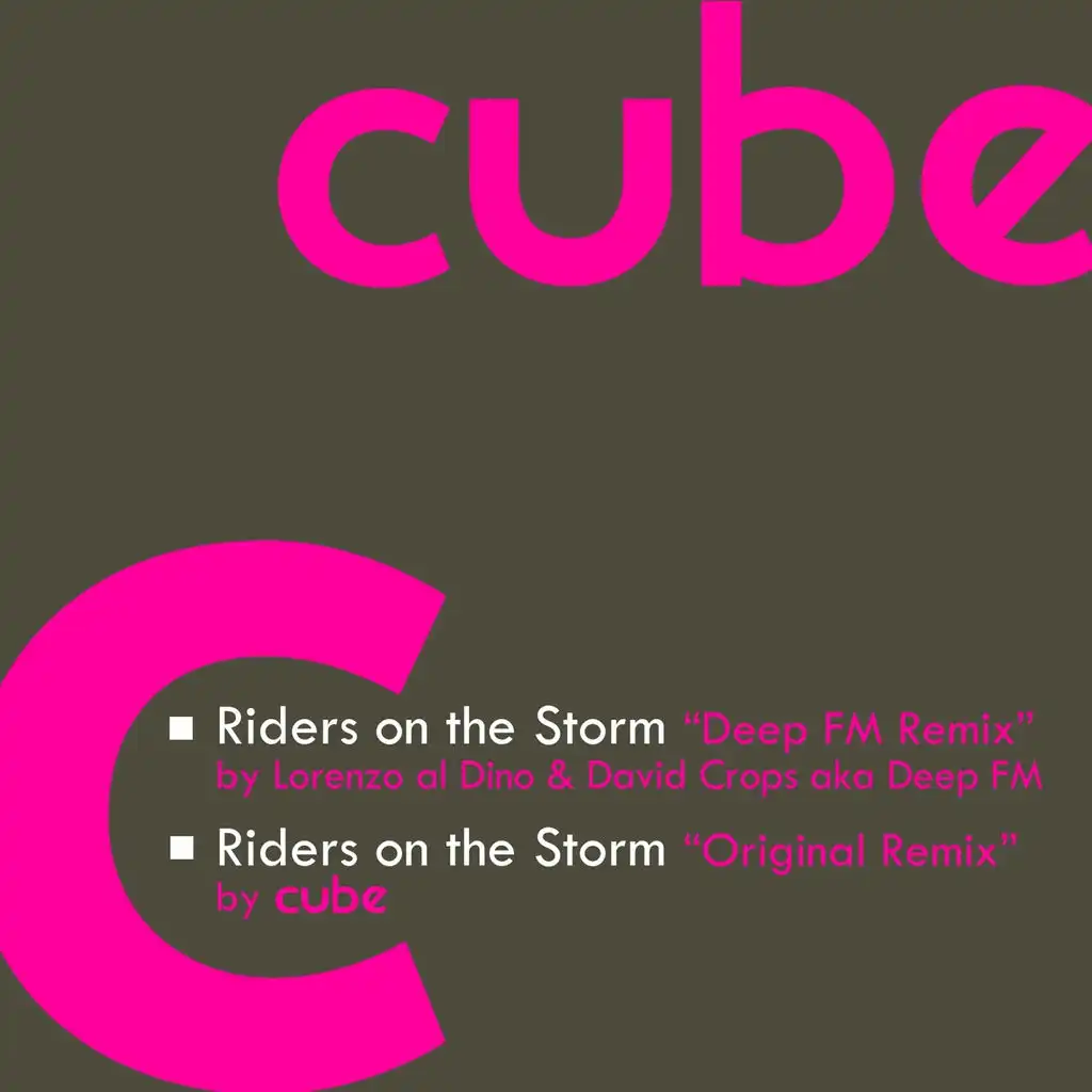 Riders On the Storm (Original Remix)