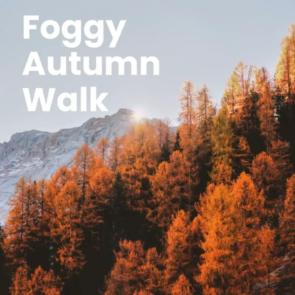 Foggy Autumn Walk
