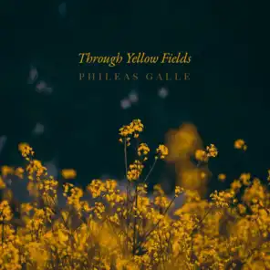 Through Yellow Fields