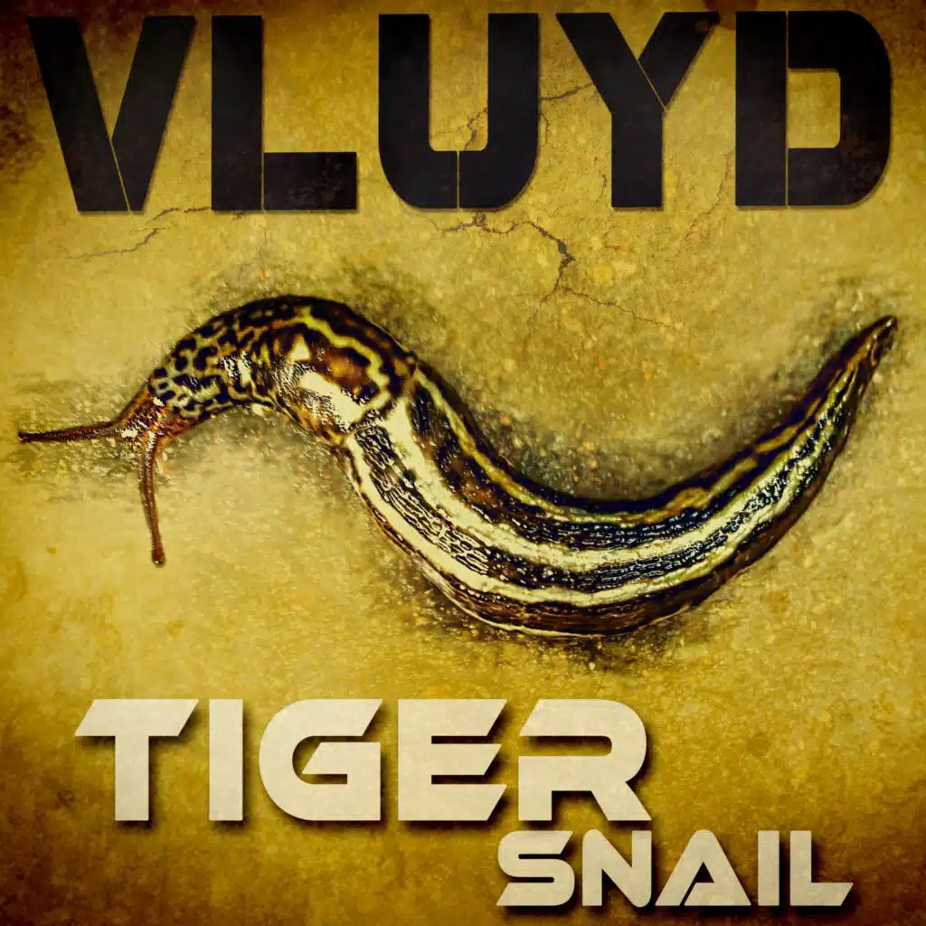 Vluyd