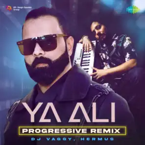 Ya Ali (Progressive Remix) [feat. DJ Vaggy & Hermus]
