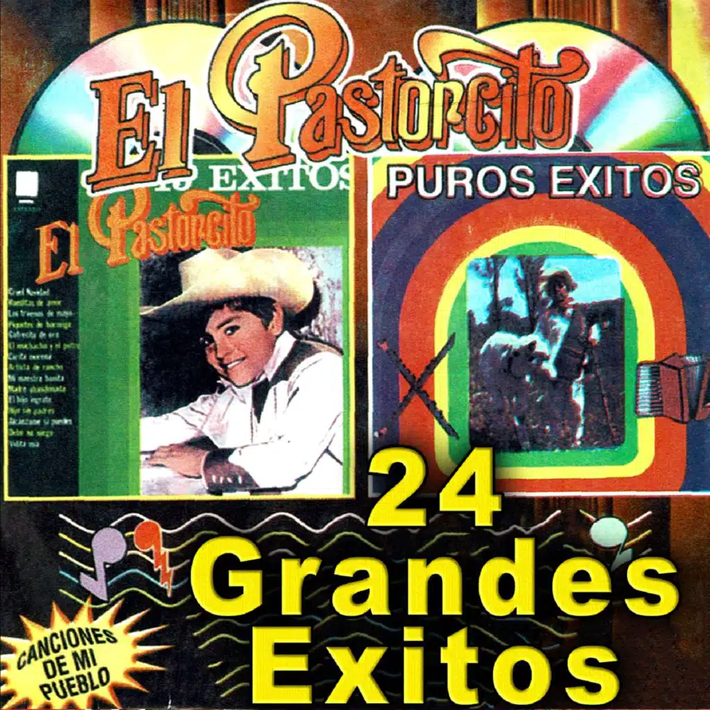 24 Grandes Exitos