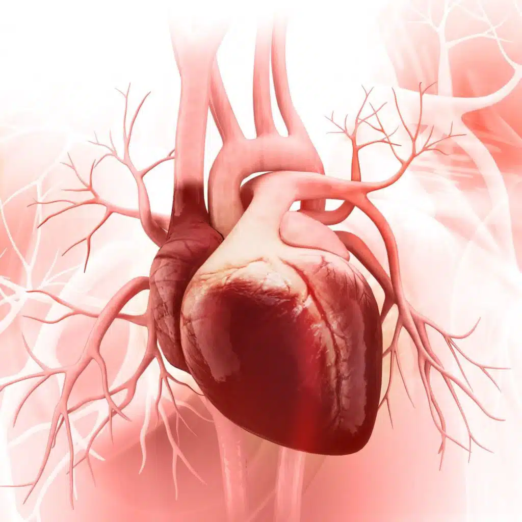 Right Ventricular Heart Failure