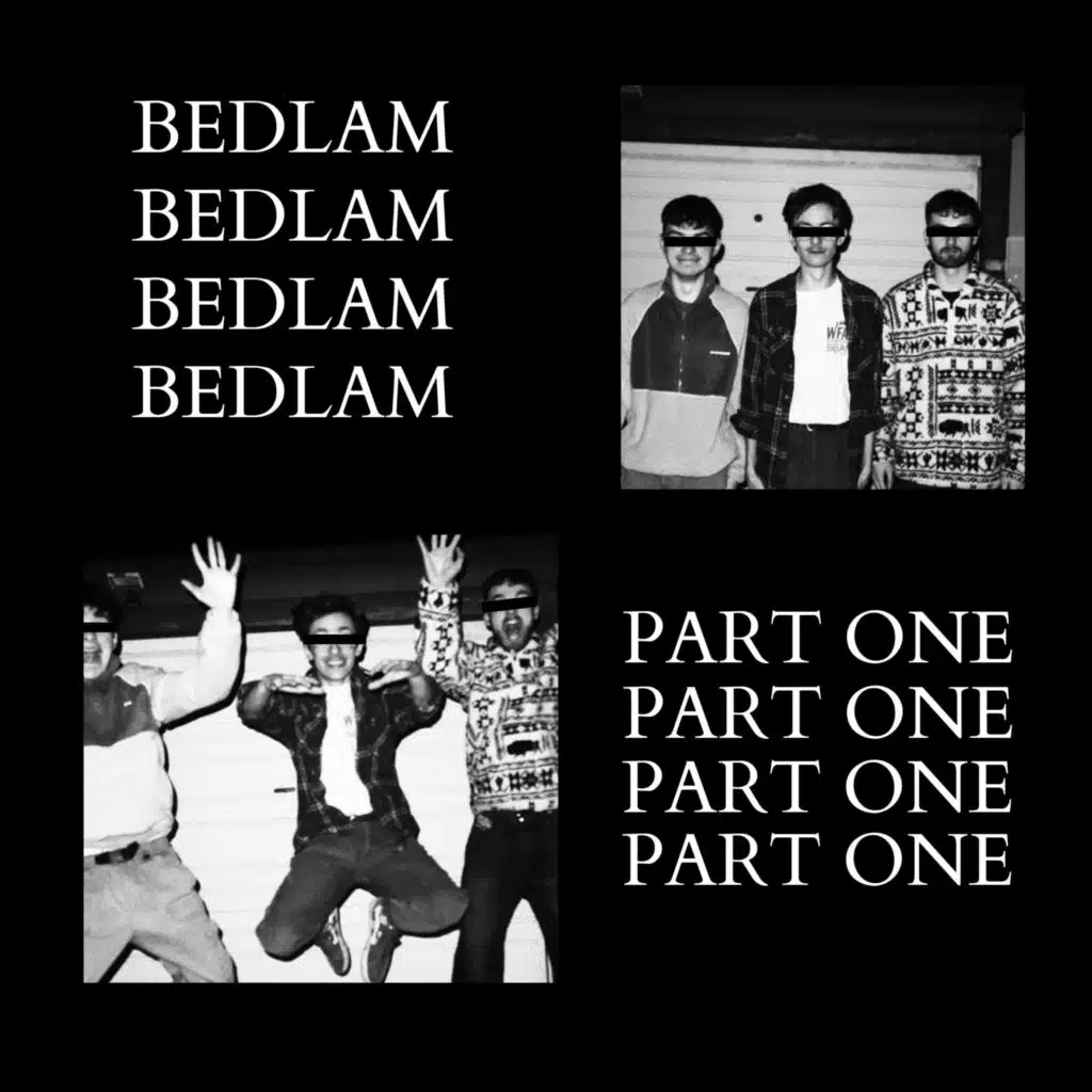 BEDLAM, Pt. 1