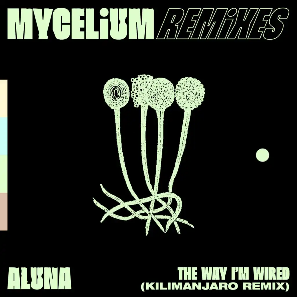 The Way I'm Wired (KILIMANJARO Remix)