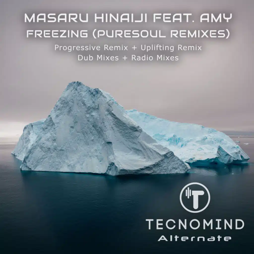 Freezing (Puresoul Remixes) [feat. Amy]