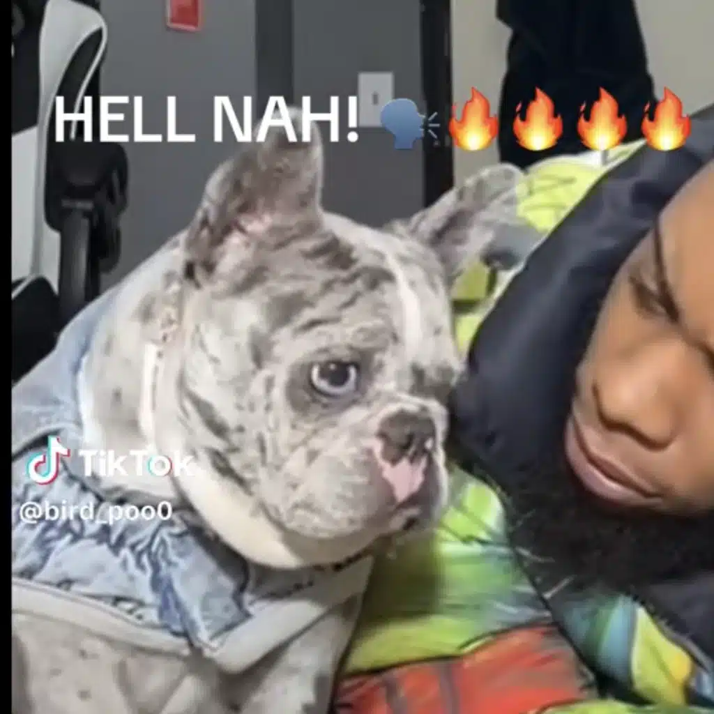 white girl music🤫