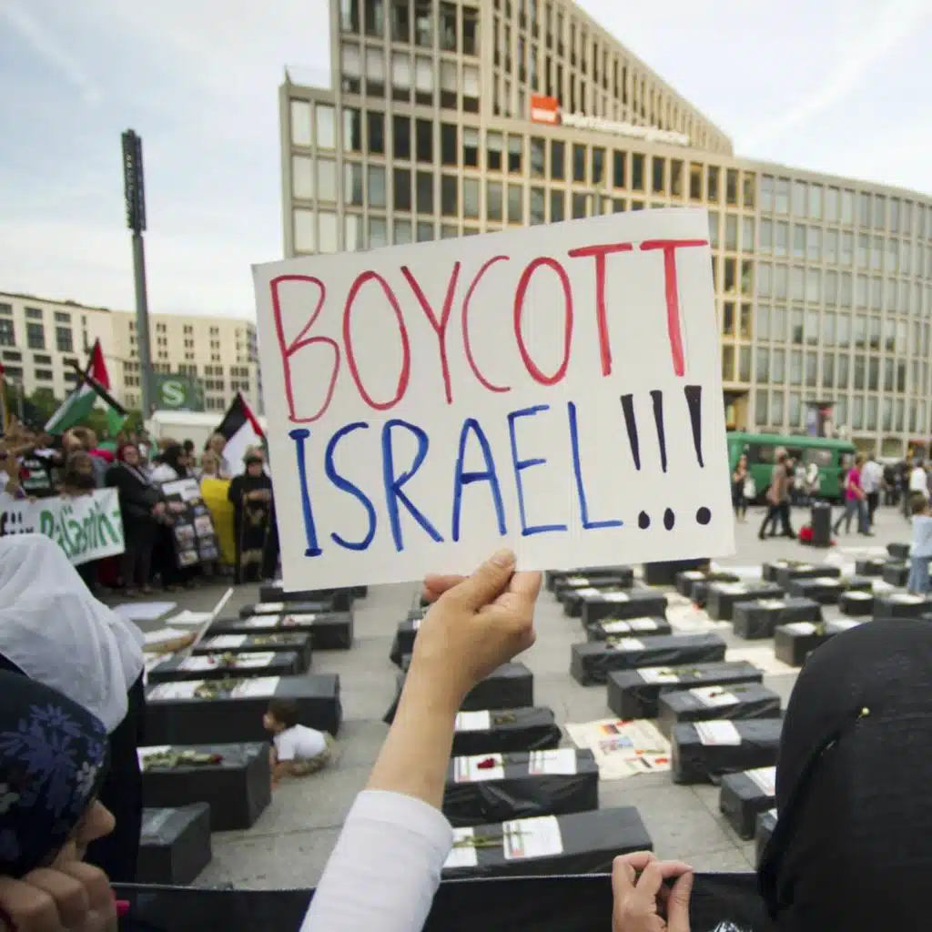 Excerpt - Sai Englert on BDS and economic democracy