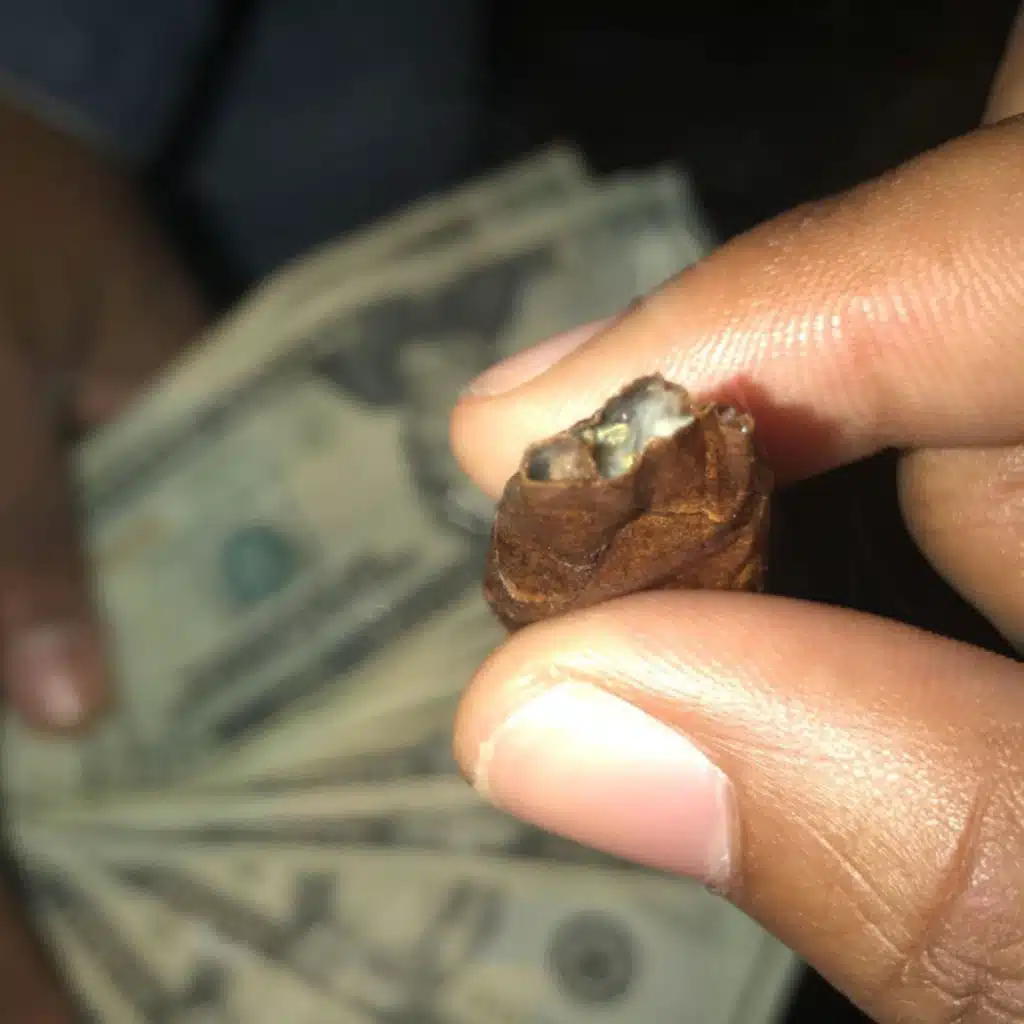 Stoner Lifestyle