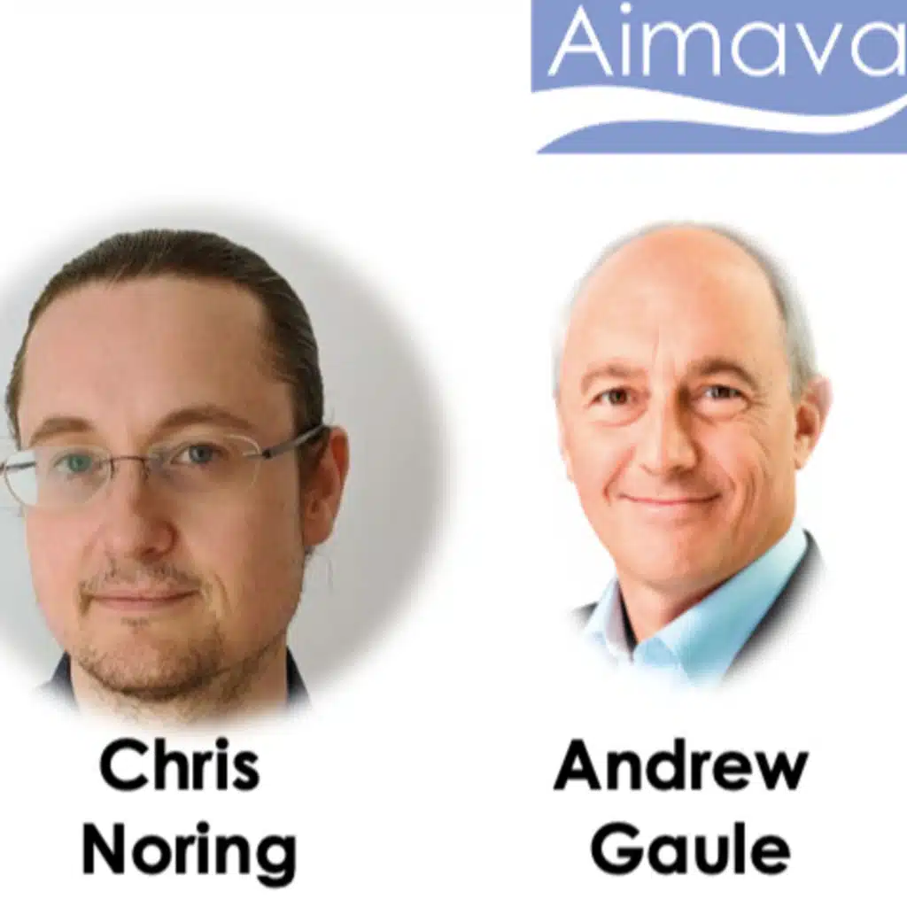 Episode 134: Chris Noring, Microsoft - AI and Business