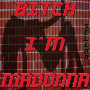 Bitch I'm Madonna (Instrumental Studio)