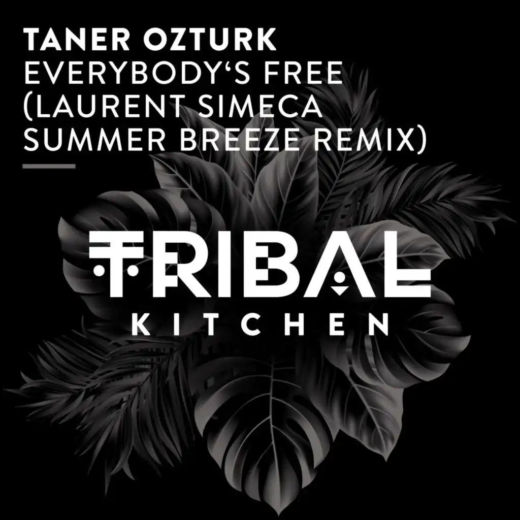 Everybody's Free (Laurent Simeca Summer Breeze Extended Remix)