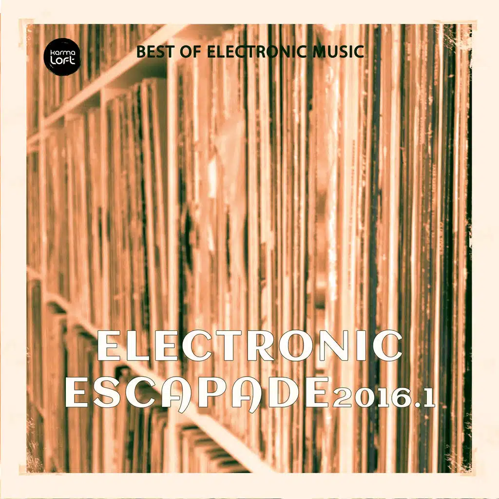 Electronic Escapade 2016, Vol. 3 (Best of Electronic Music)