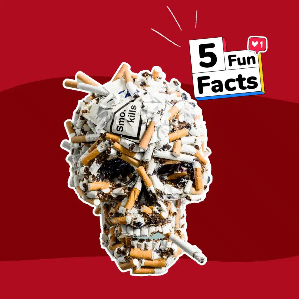 Le TABAC - 5 choses à savoir sur...