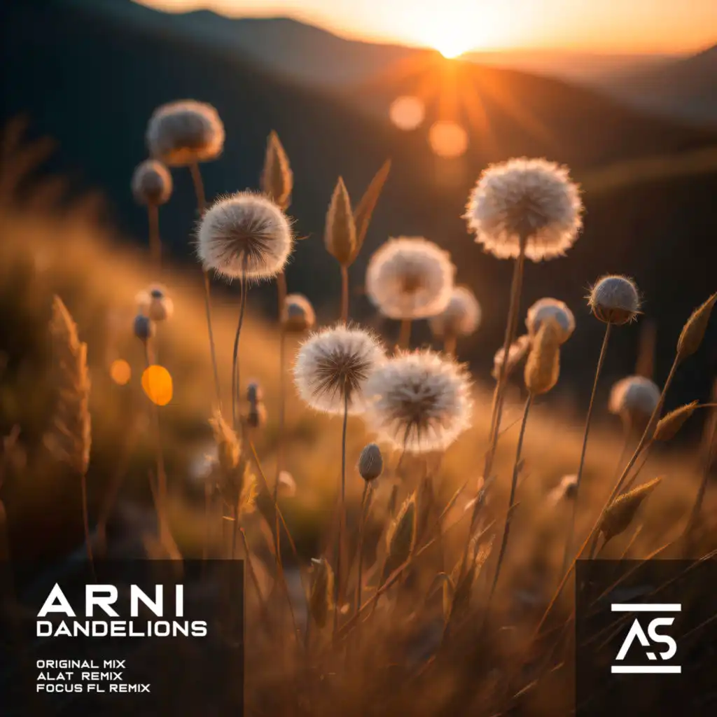 Dandelions (ALAT Extended Remix)