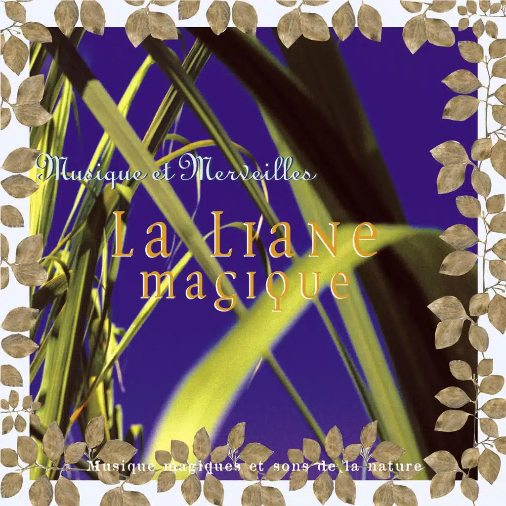 Musique et merveilles: la liane magique