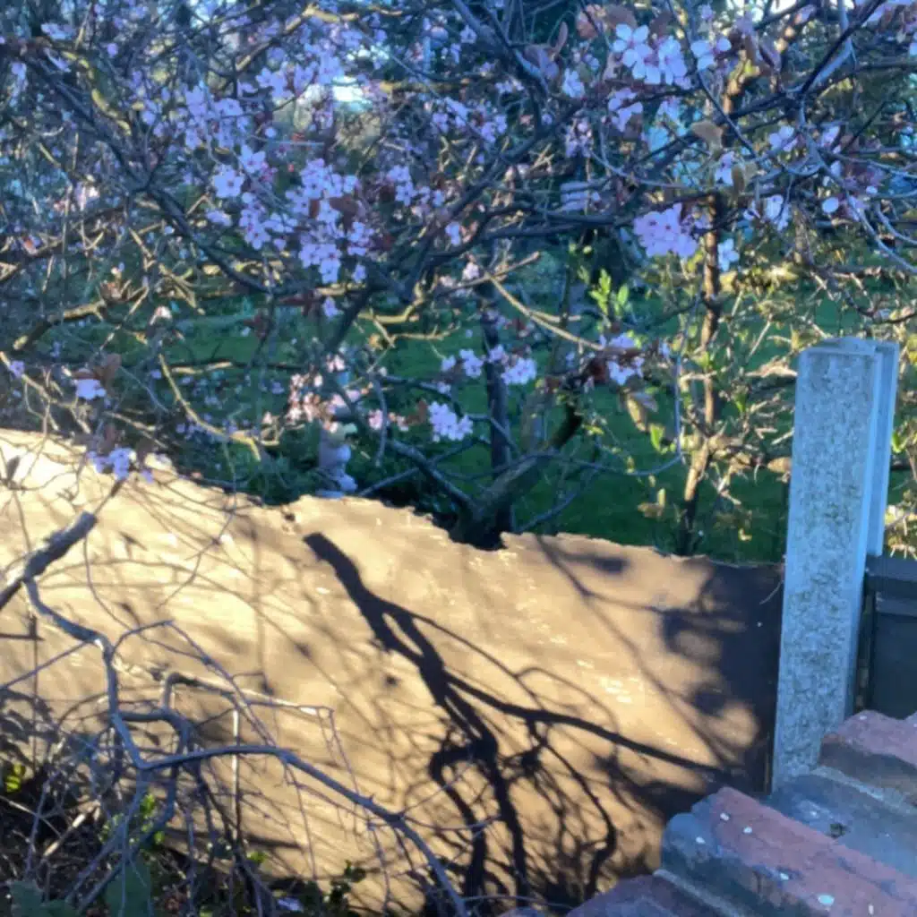 52 (feat. Archy Marshall)