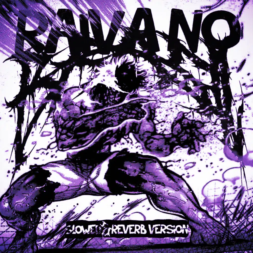 RAIVA NO BRASIL (Slowed Reverb Version)