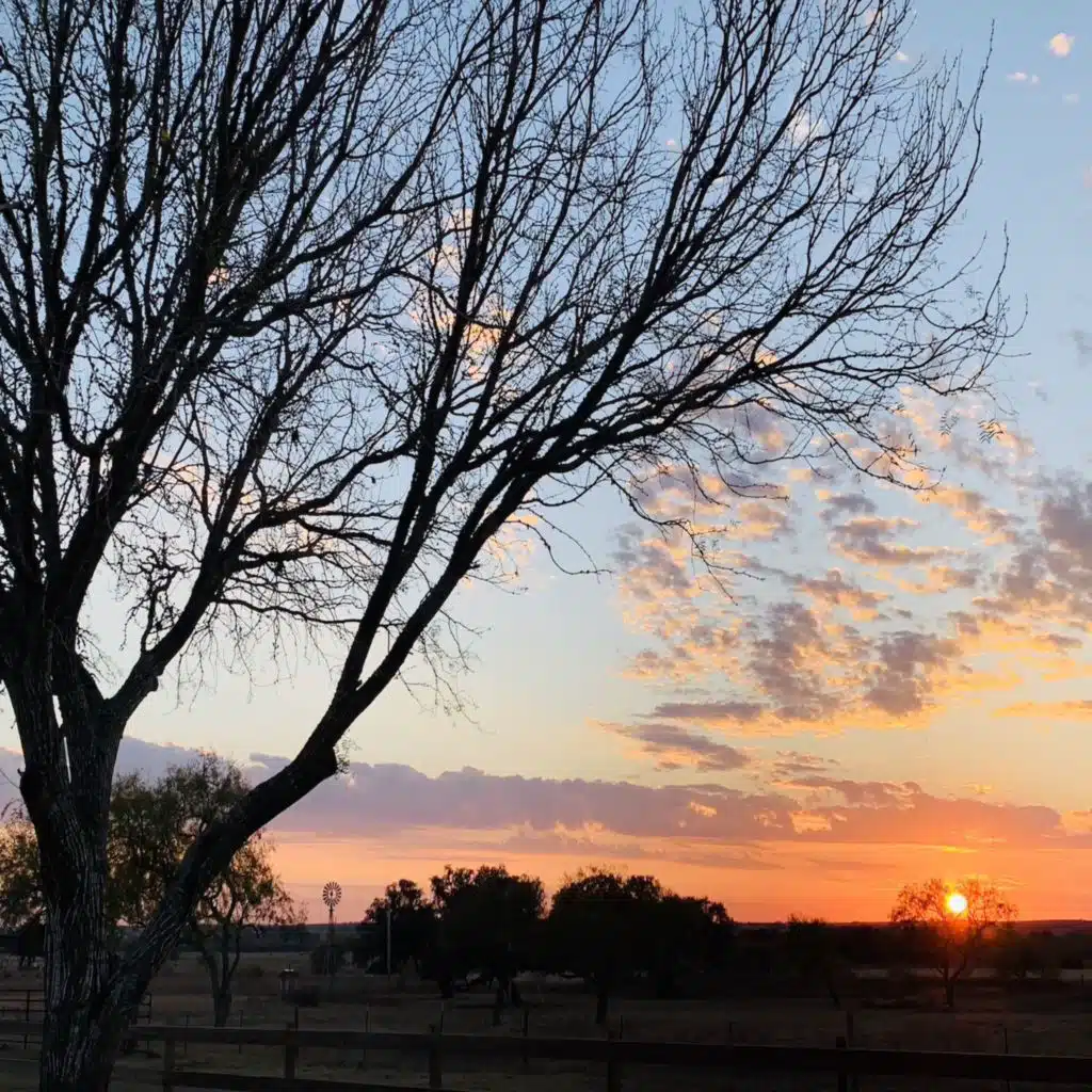 Ryan McDonald & RIck Del Castillo