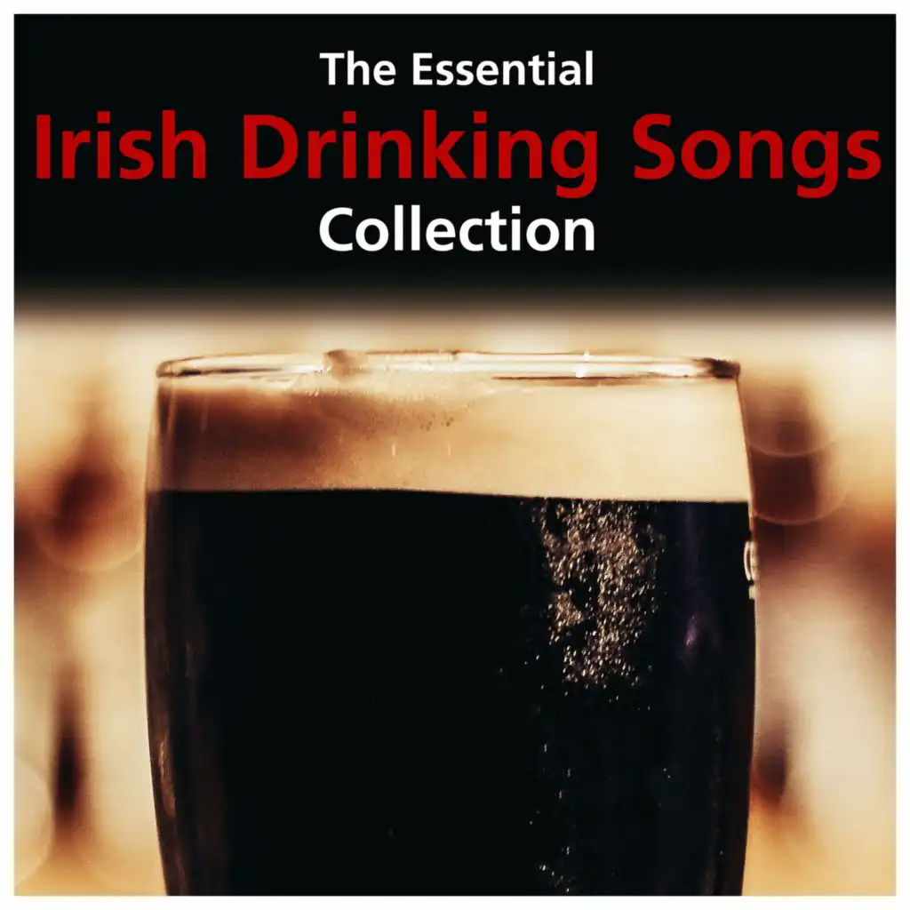 The Irish Rover (feat. Ronnie Drew & Shane MacGowan)
