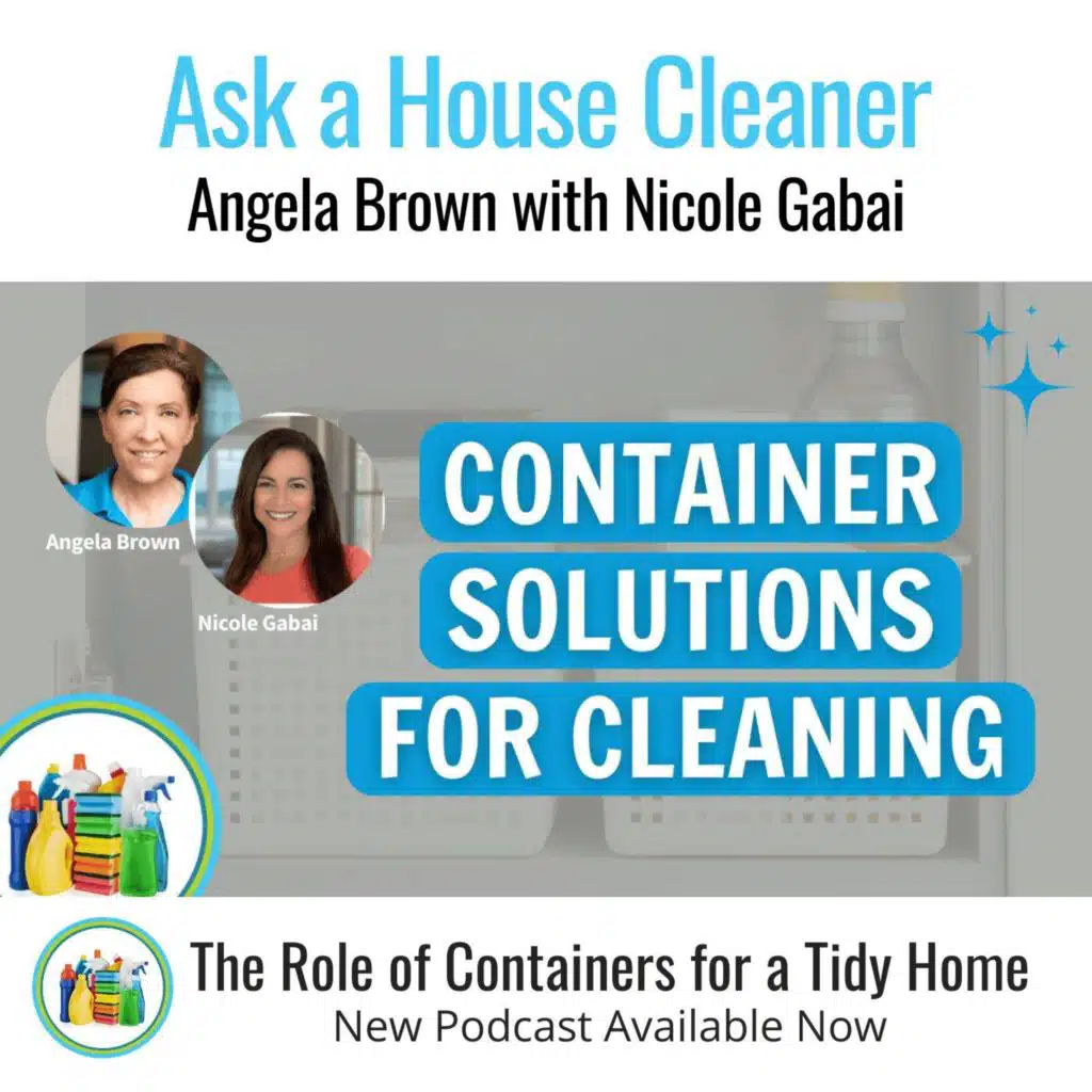 The Role Of Containers In Home Organization with Nicole Gabai