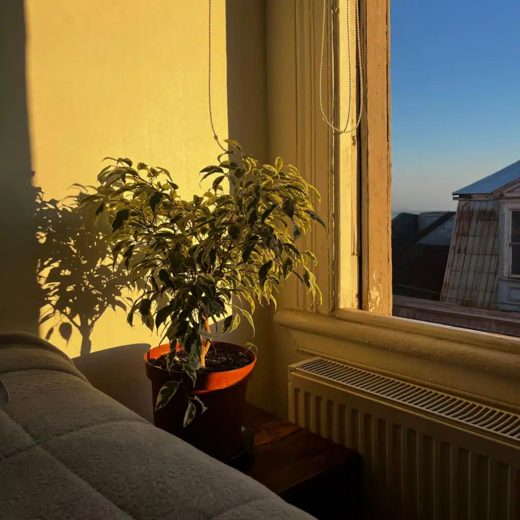 Canciones en un papel