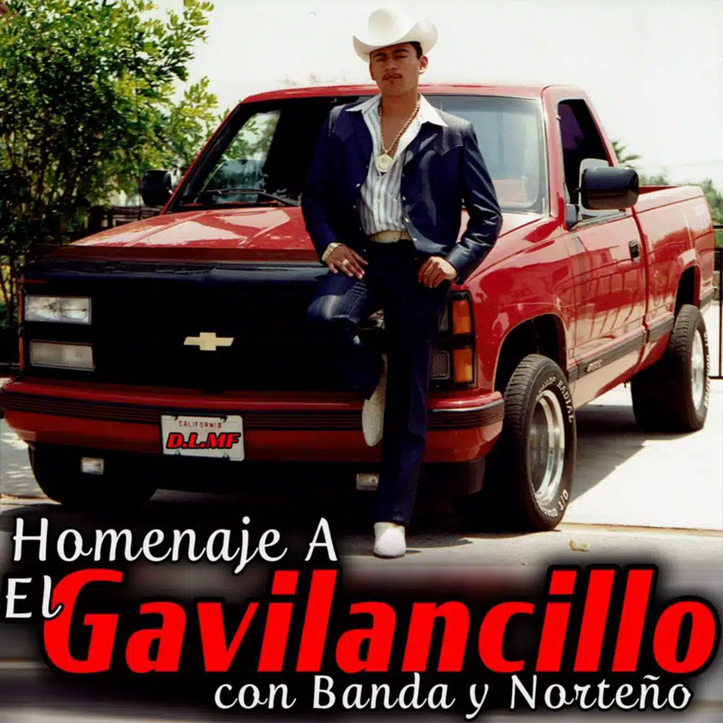 Homenaje a el Gavilancillo Con Banda y Norteño