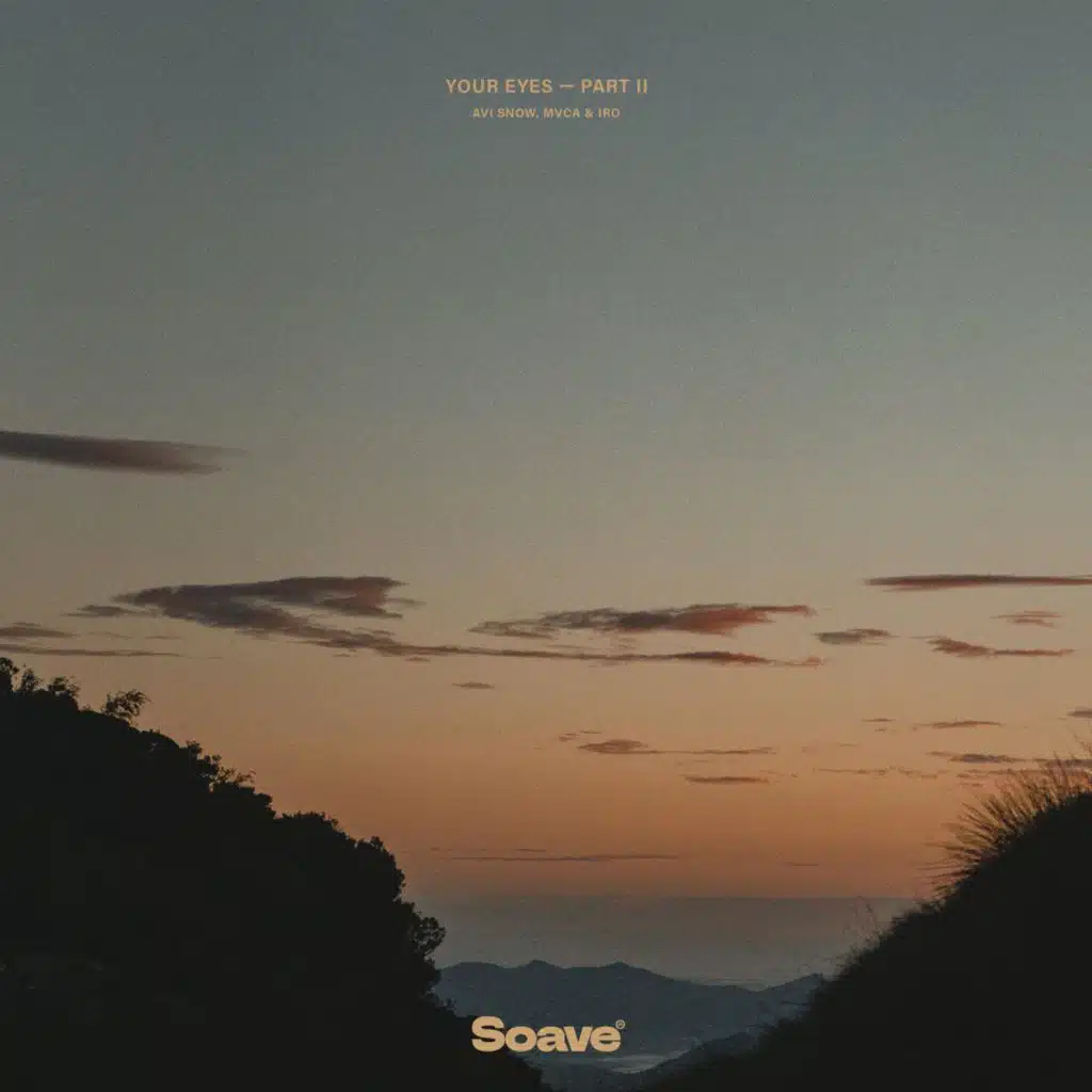 Avi Snow, MVCA & IRO